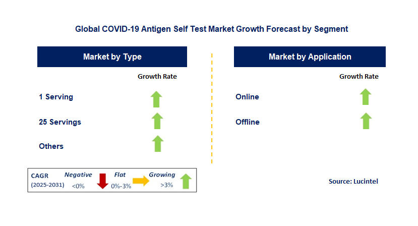 Covid-19 Antigen Self Test Market by Segment